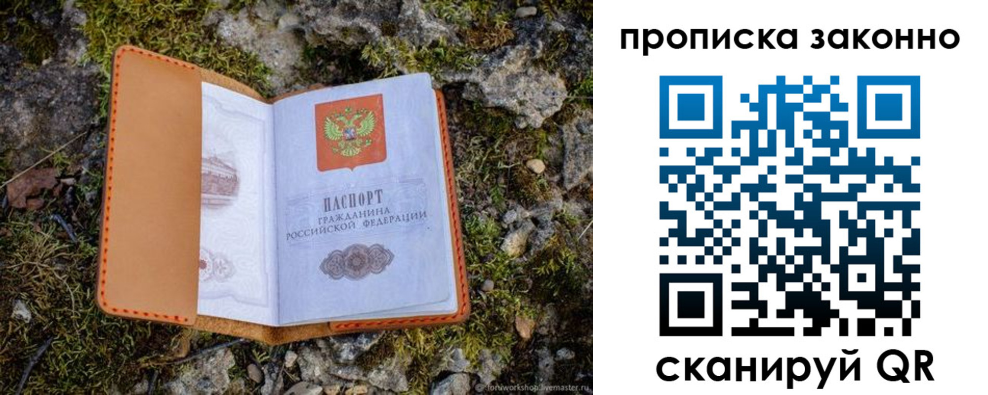 временная регистрация для всех в Пионерском