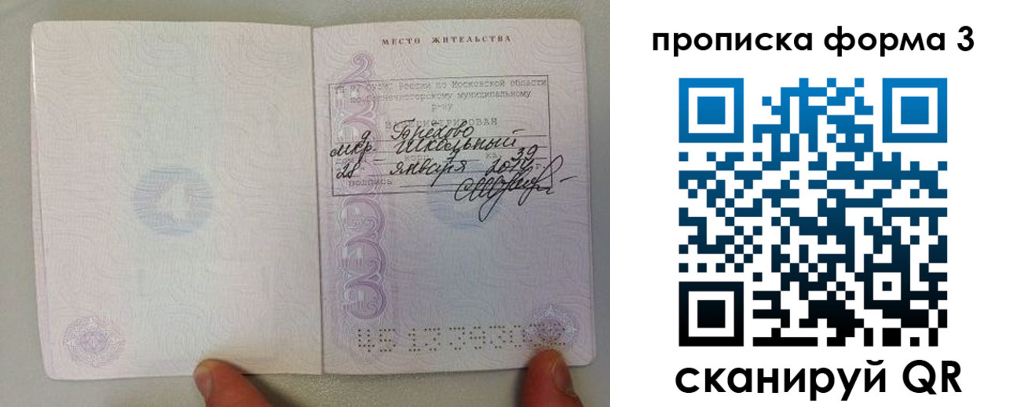 прописка гарантия в Пионерском