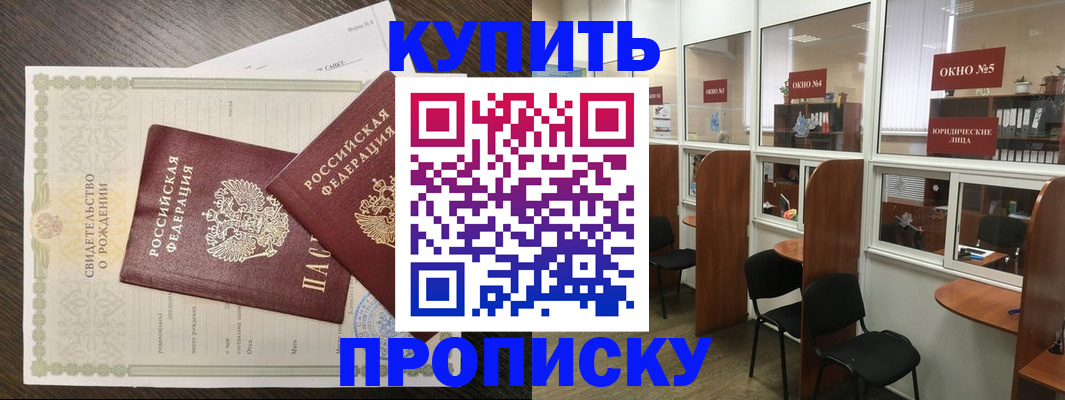 прописка законно в Пионерском